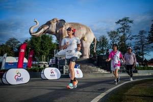 BIB: 
                            <button type="button" onclick="openModal(26541801)" class="btn btn-primary btn-sm float-right btn-popup" data-toggle="modal" data-target=".modal-high-quality">
                        <i class="fas fa-shopping-cart"></i> Add to Cart
                    </button>
                                            <button type="button" onclick="isThisMe(26541801, true)" class="btn btn-success btn-sm float-right btn-popup btn-isme hidden" data-toggle="tooltip" data-placement="bottom" title="นี่คือรูปของคุณใช่ไหม คลิกที่นี่เพื่อเอาเข้าอัลบั้ม">
                        <i class="fas fa-plus"></i> Add to album
                    </button>
                    <button type="button" onclick="isThisMe(26541801, false)" class="btn btn-warning btn-sm float-right btn-popup btn-isnotme hidden">
                        <i class="fas fa-ban"></i> Remove from album
                    </button>